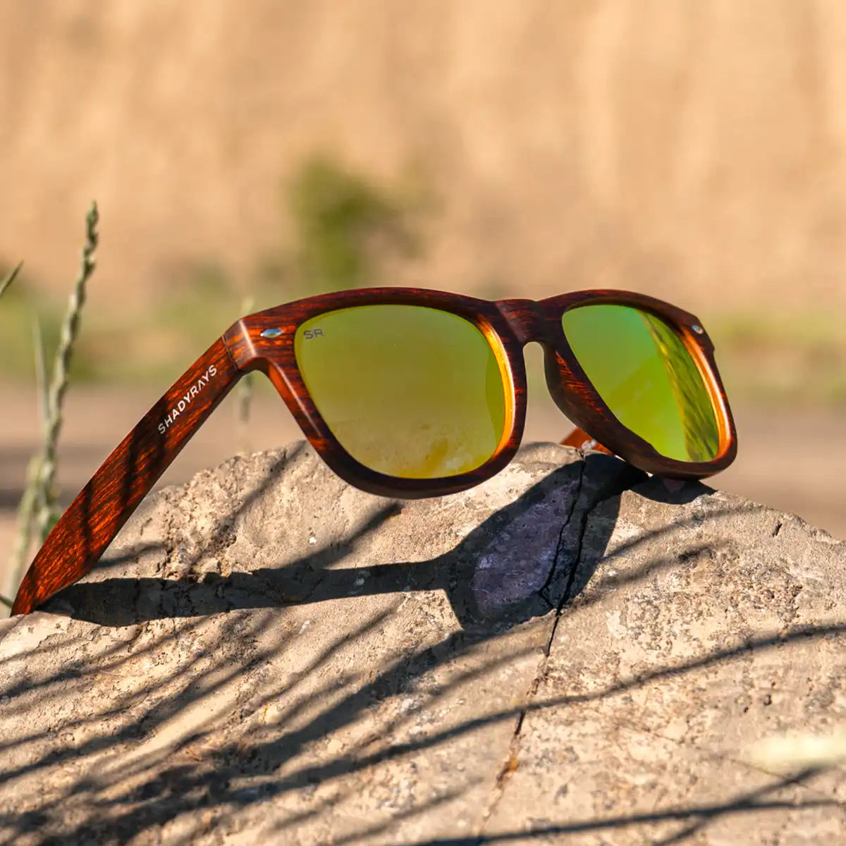 Classic Timber - Golden Polarized