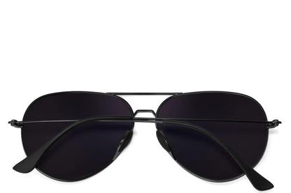 Tangle Free Aviator - Purple Polarized