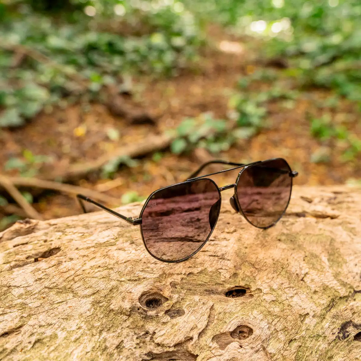 Tangle Free Aviator Hex - Black Fade Polarized