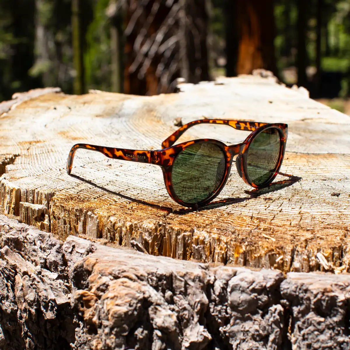 Sequoia - Tortoise Polarized