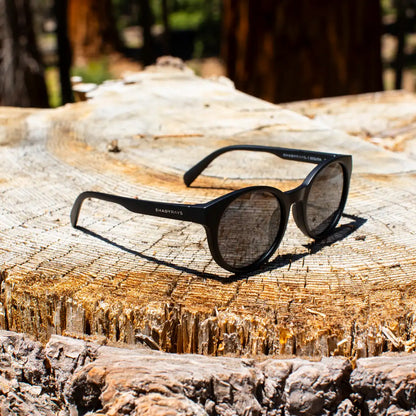 Sequoia - Blackout Polarized