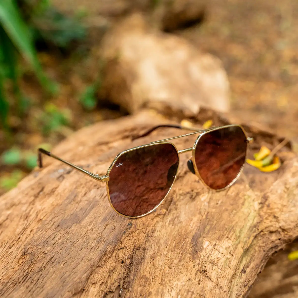 Tangle Free Aviator Hex - Cherry Fade Polarized